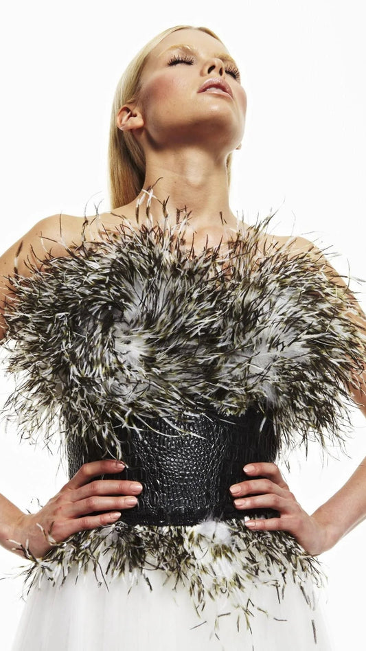 Plumage Symphony