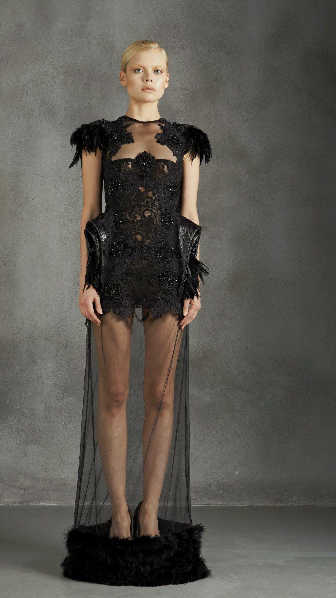 Midnight Plumage
