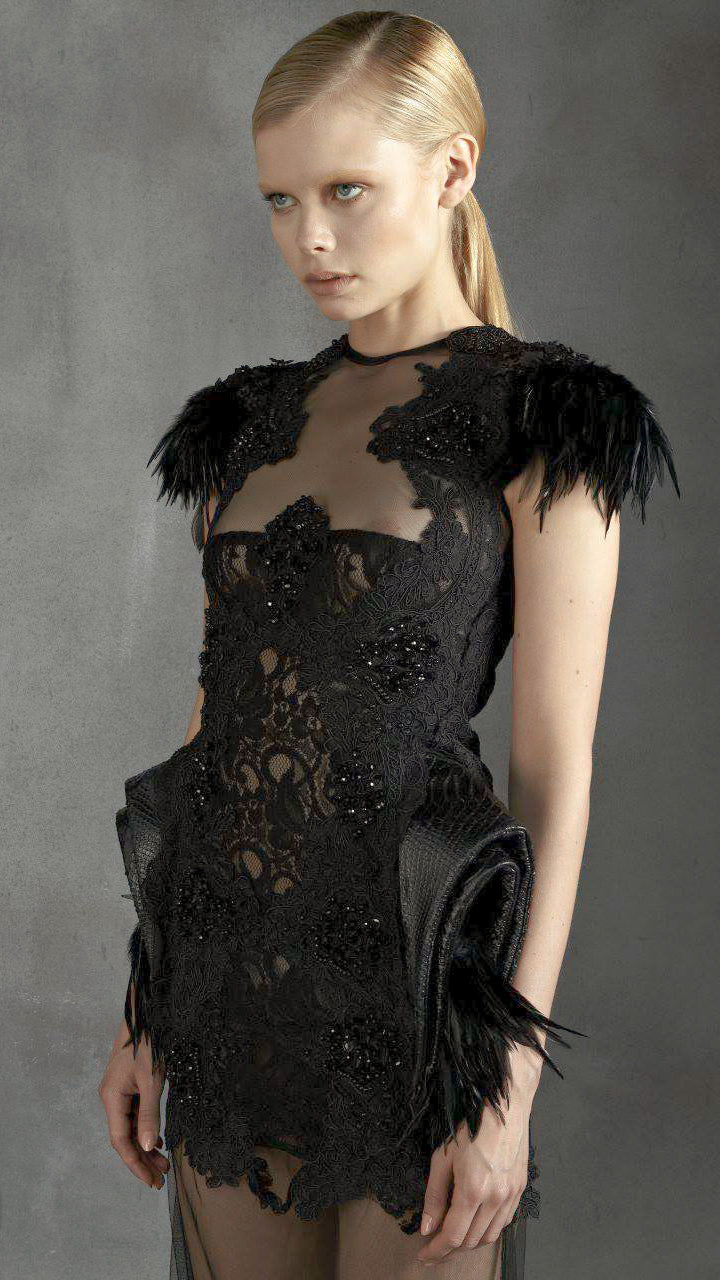 Midnight Plumage